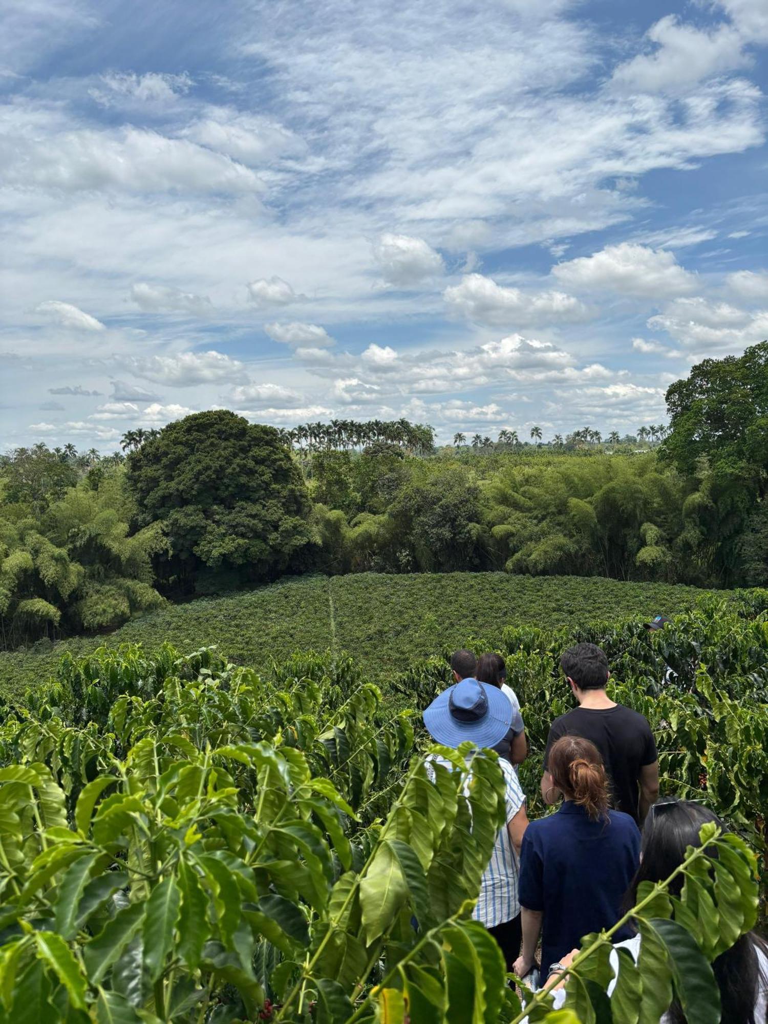 Hacienda Bambusa El Caimo 외부 사진