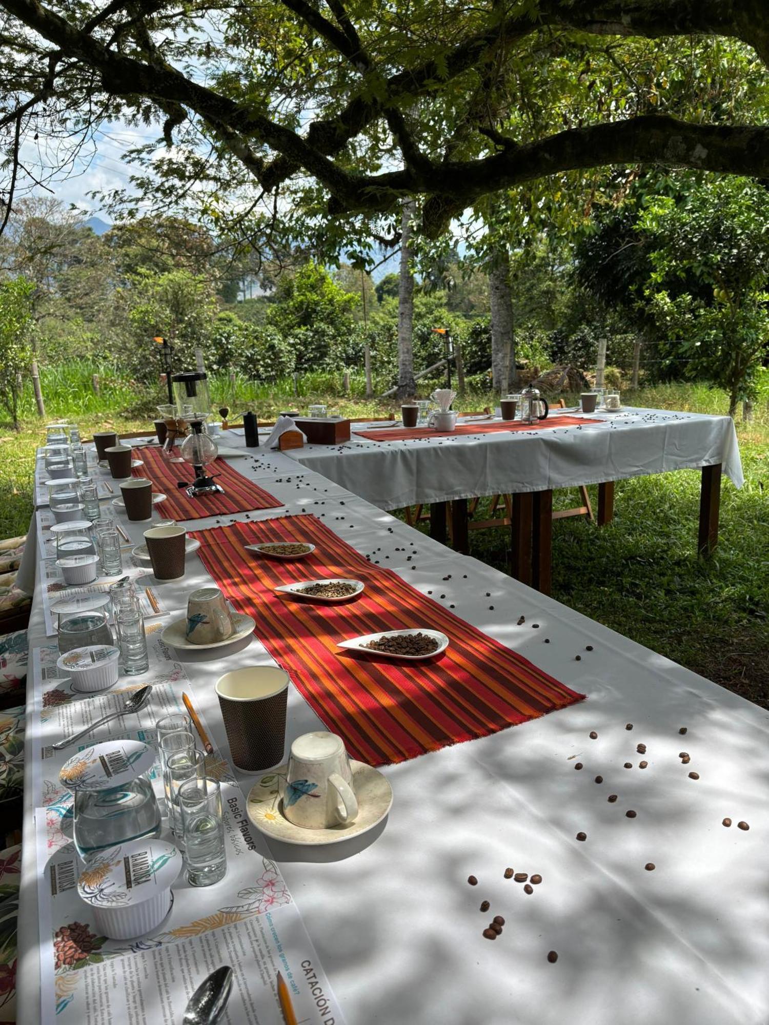 Hacienda Bambusa El Caimo 외부 사진