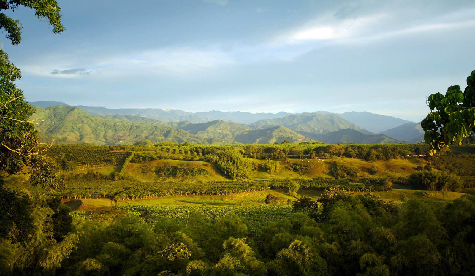 Hacienda Bambusa El Caimo 외부 사진